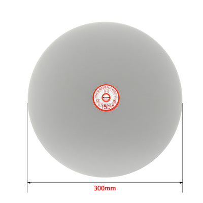 Harfington 12-inch Diamond Coated Flat Lap Disk Wheel Grinding Sanding Disc