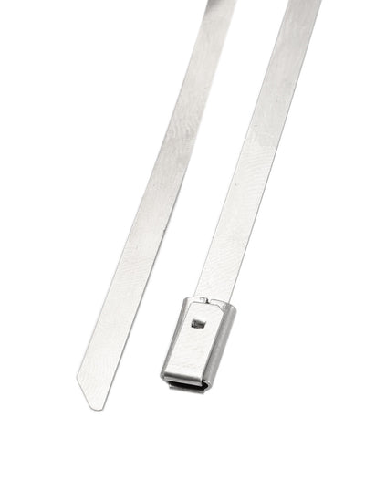 Harfington 5PCS 4.6mm x 400mm Stainless Steel Cable Pipe Tie Hoop Clamp