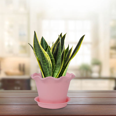 Harfington 19.5cm Dia Pink Plastic Plant Planter Flower Pot Home Office Garden Decor w Tray