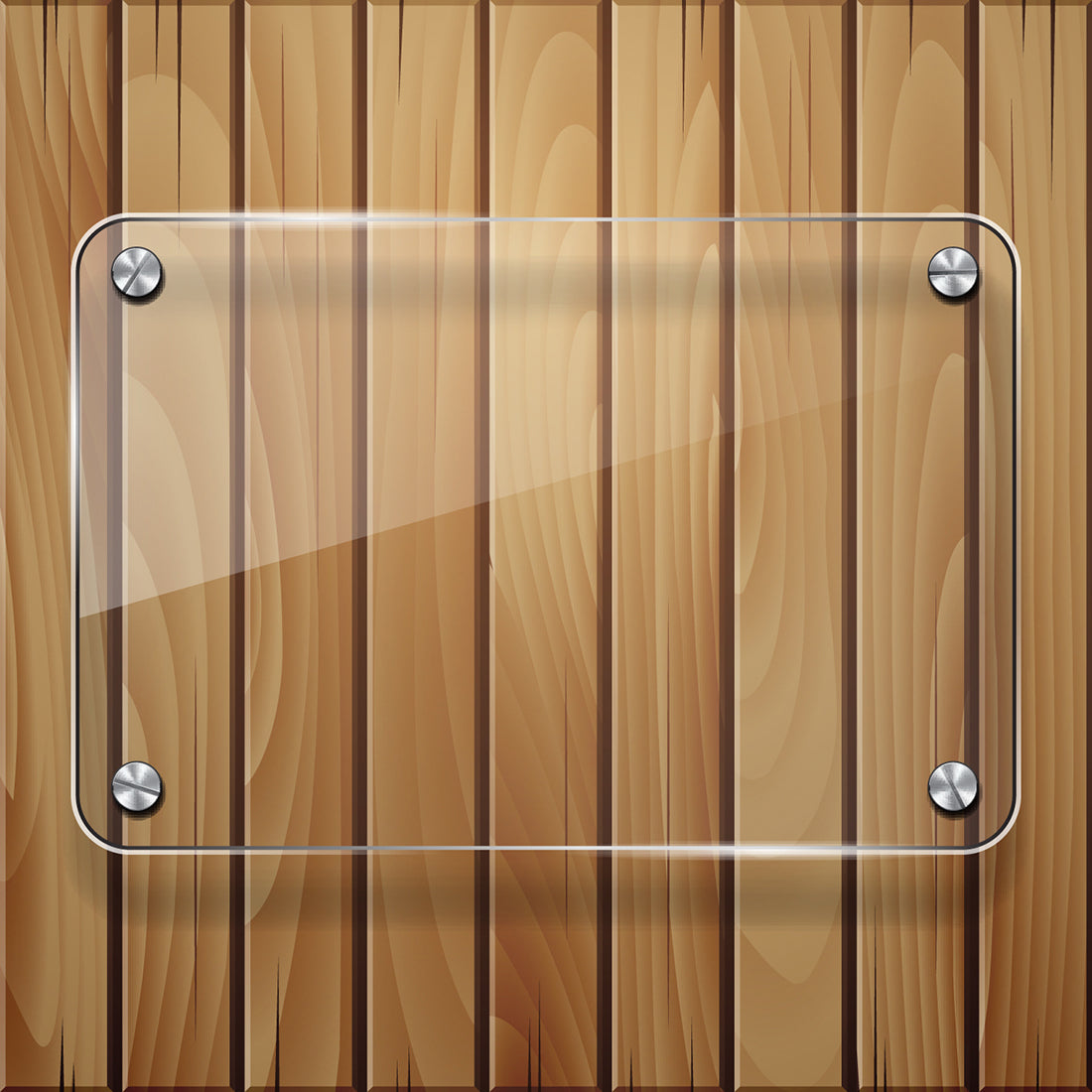 Harfington Mirror Screws Decorative Caps Cover Nails Brushed Stainless Steel 10mm 8pcs