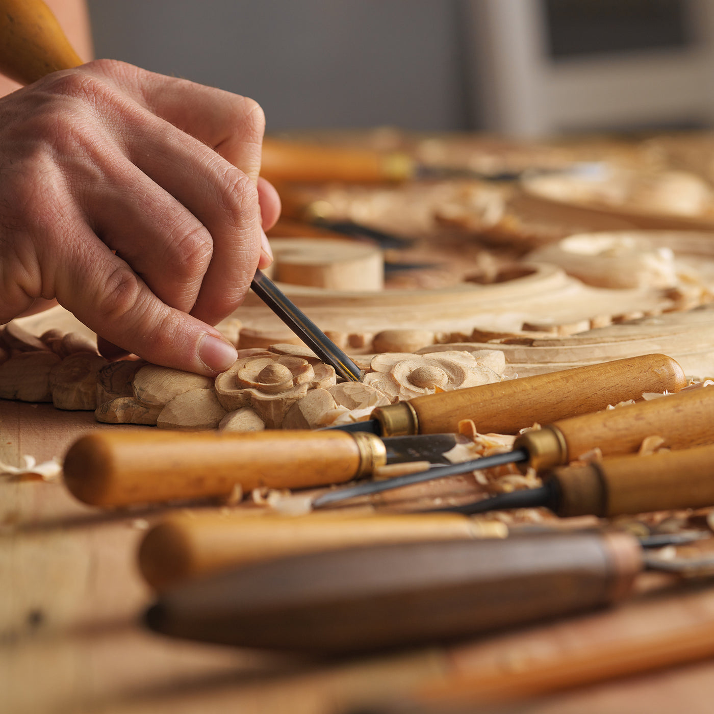 Harfington ,.,?!asfsf•••••••dfsdf